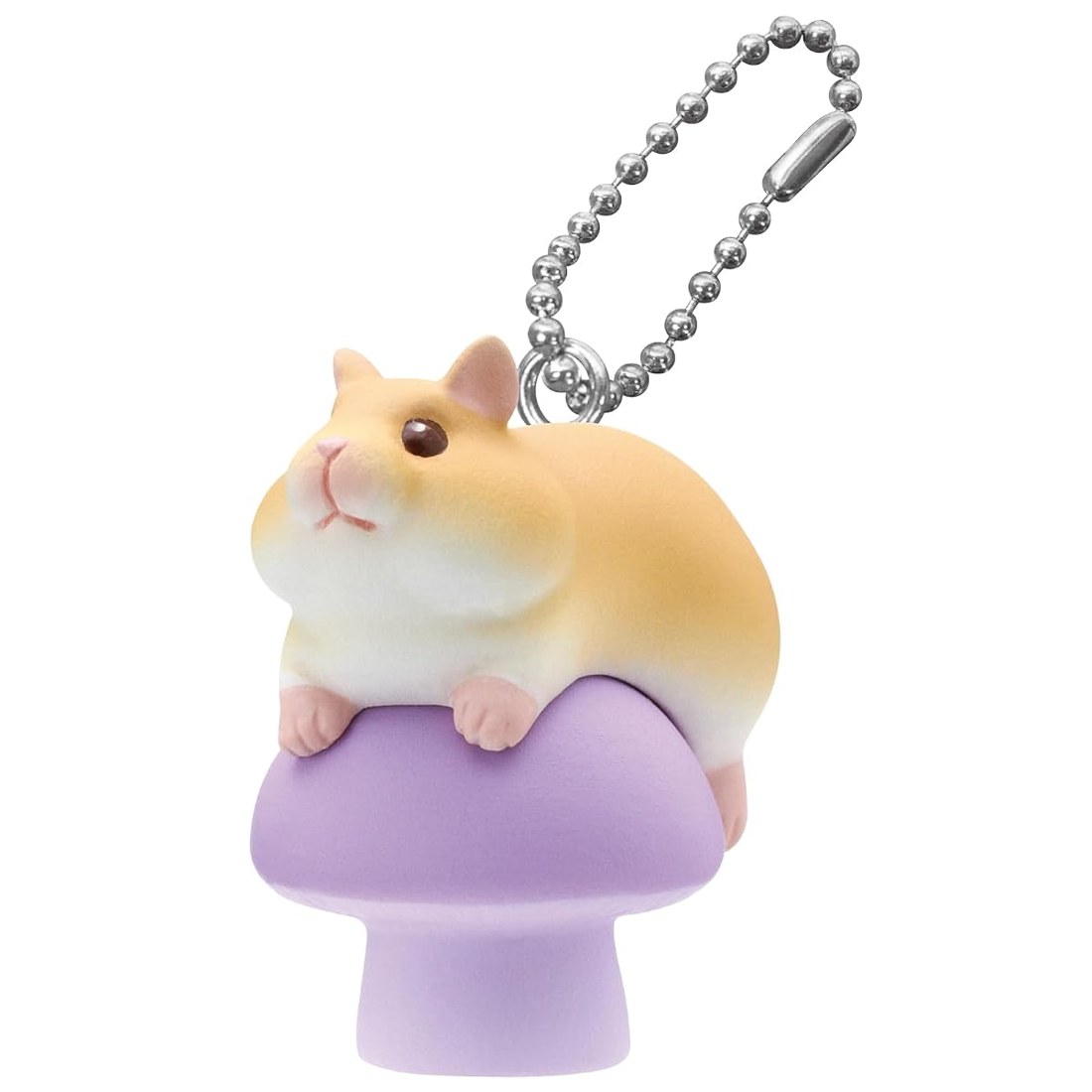 Hamster on Mushroom view 4