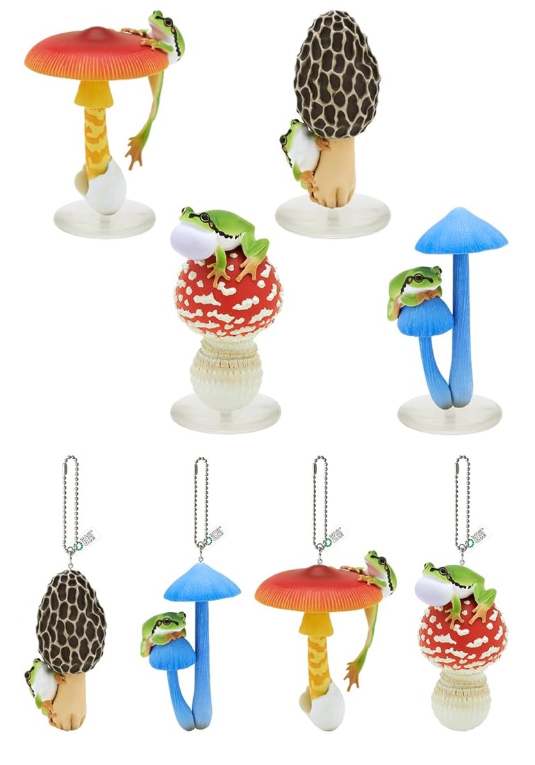 Mushroom and Frog Volume 2