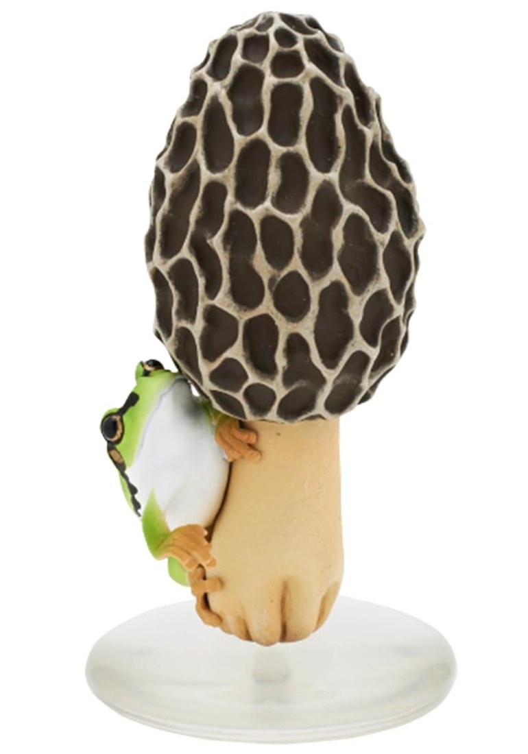 Mushroom and Frog Volume 2 view 3
